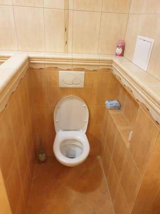 Mezonetovy Apartman V Centre Novej Dubnice Ilava エクステリア 写真