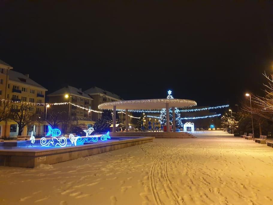 Mezonetovy Apartman V Centre Novej Dubnice Ilava エクステリア 写真