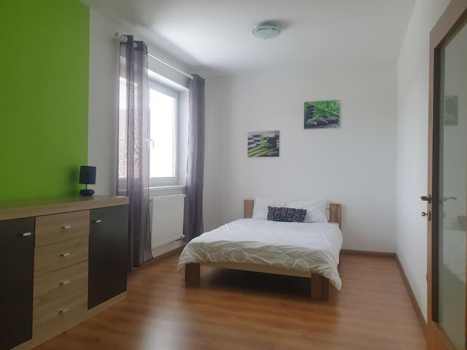 Mezonetovy Apartman V Centre Novej Dubnice Ilava エクステリア 写真