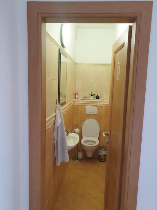 Mezonetovy Apartman V Centre Novej Dubnice Ilava エクステリア 写真